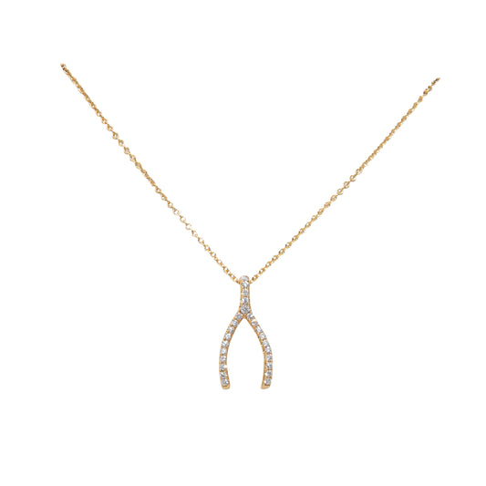 Diamond Wishbone Large Pendant Front view