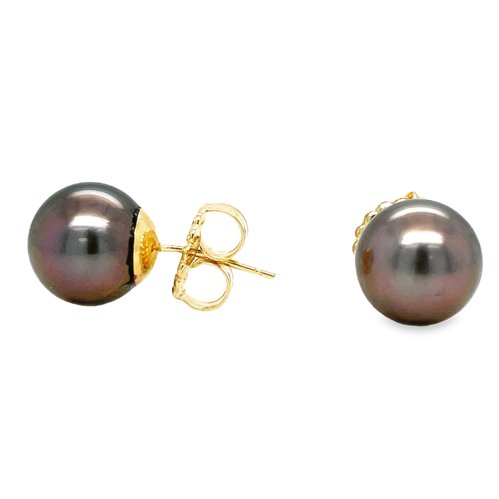 Indulge in elegance and luxury with our Tahitian Pearls Stud Earrings. Cultivated in pristine waters, these 10.00 mm pearls exude natural beauty. Set in 14k yellow gold with a secure friction backing, these 10.00 mm pearls will elevate your look with the ultimate symbol of sophistication.