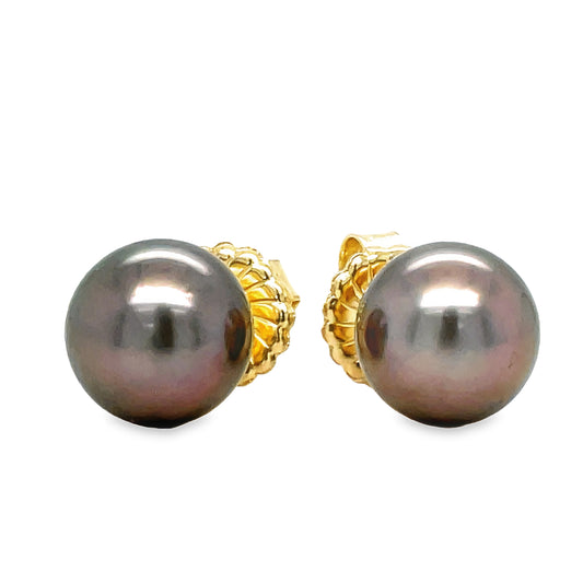 Tahitian Pearls Stud Earrings 10.00 mm Front view 