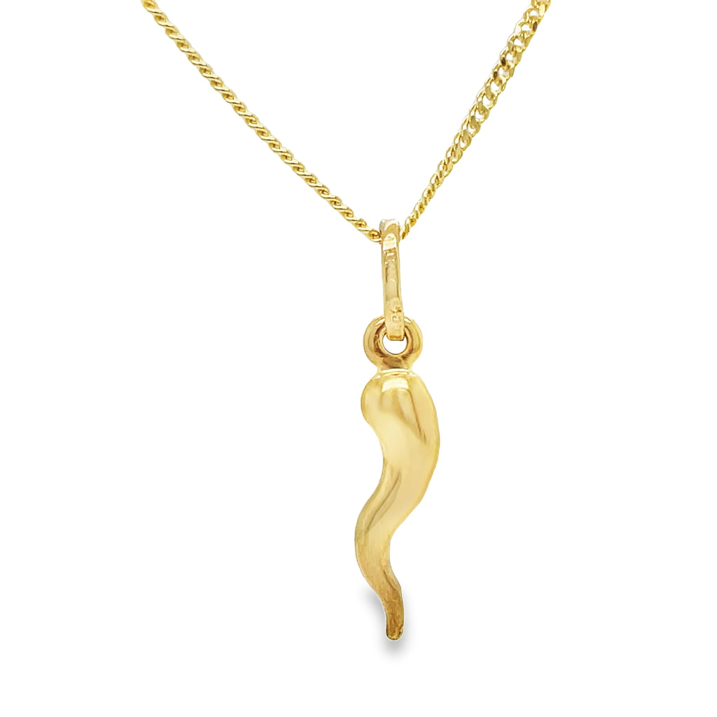 Measuring 17mm in length, this 14k yellow gold Cornicello is believed to ward off the "evil eye" - a 16" yellow gold chain can be purchased for an additional $199.   