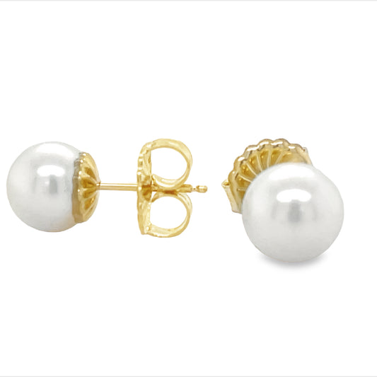 Front and side view of 14k Yellow Gold Akoya Cultured Pearl Studs 7.50