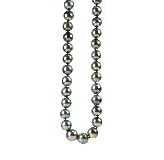 Front view of 14k White Gold Black Tahitian Pearl Necklace
