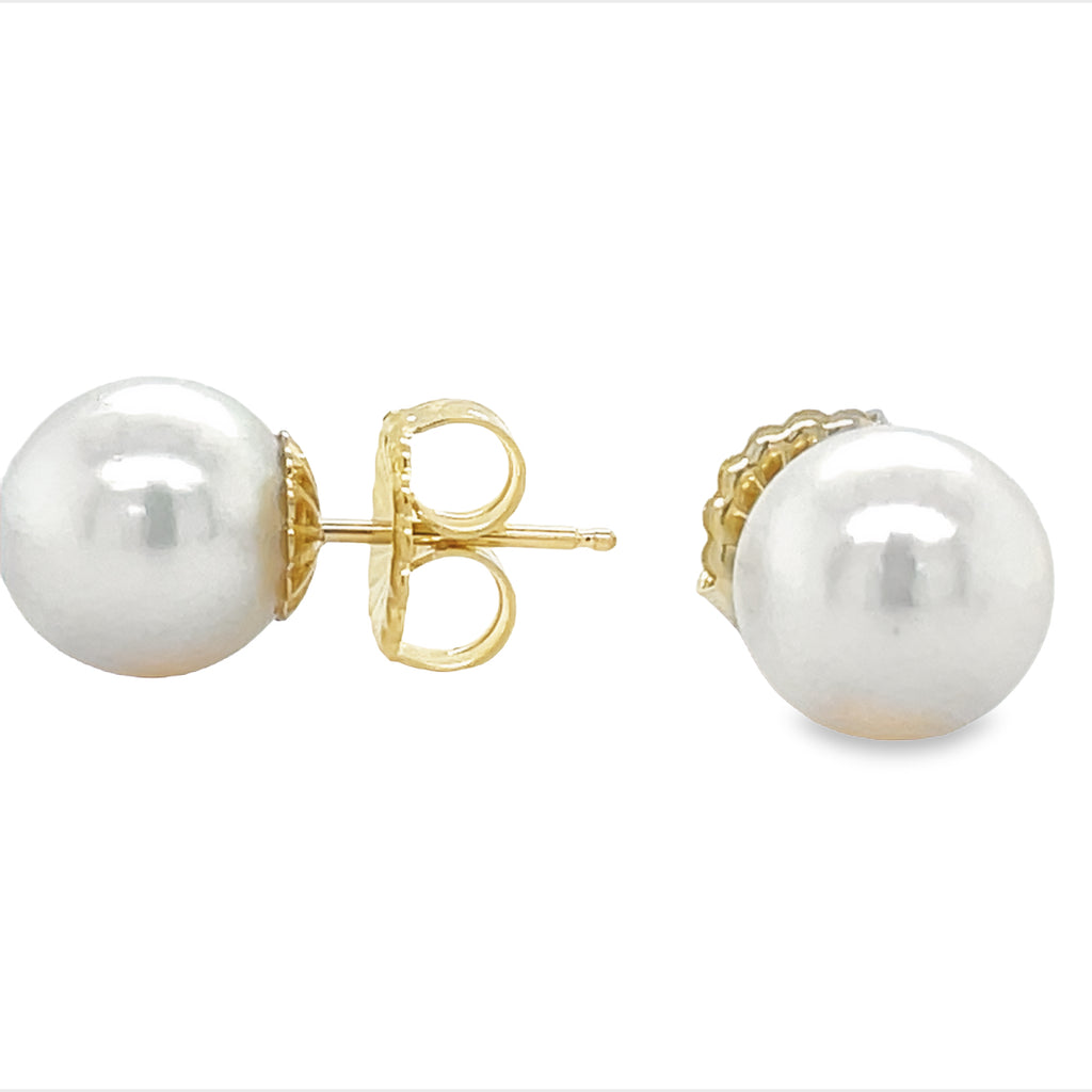 These elegant studs feature 9.50 mm Akoya Cultured Pearls with a high-luster finish and 14k Yellow Gold settings, complemented by secure friction backs for peace of mind.
